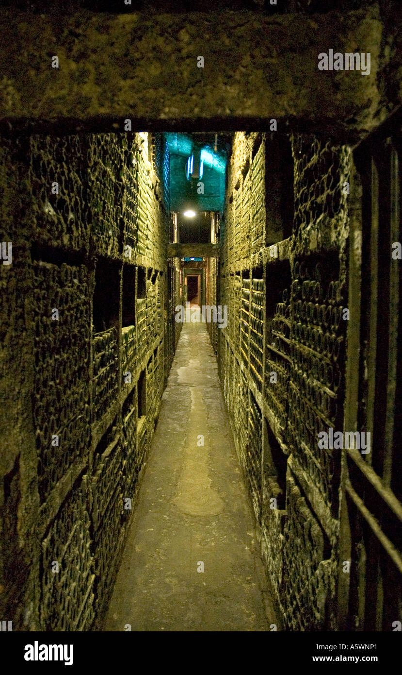 Barili di vino Rioja nelle vecchie cantine sotterranee nel 1860 circa a Marques de Riscal, La Rioja Foto Stock