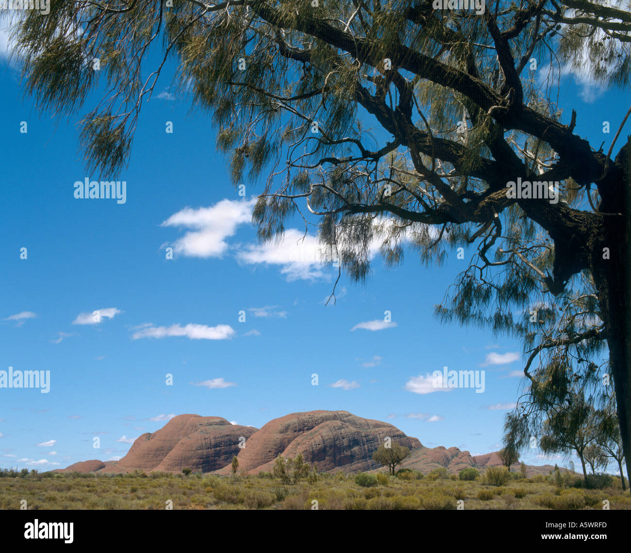Monte Olga, l'Olgas (Kata Tjuta), il Parco Nazionale di Uluru, Territorio del Nord, l'Australia Foto Stock