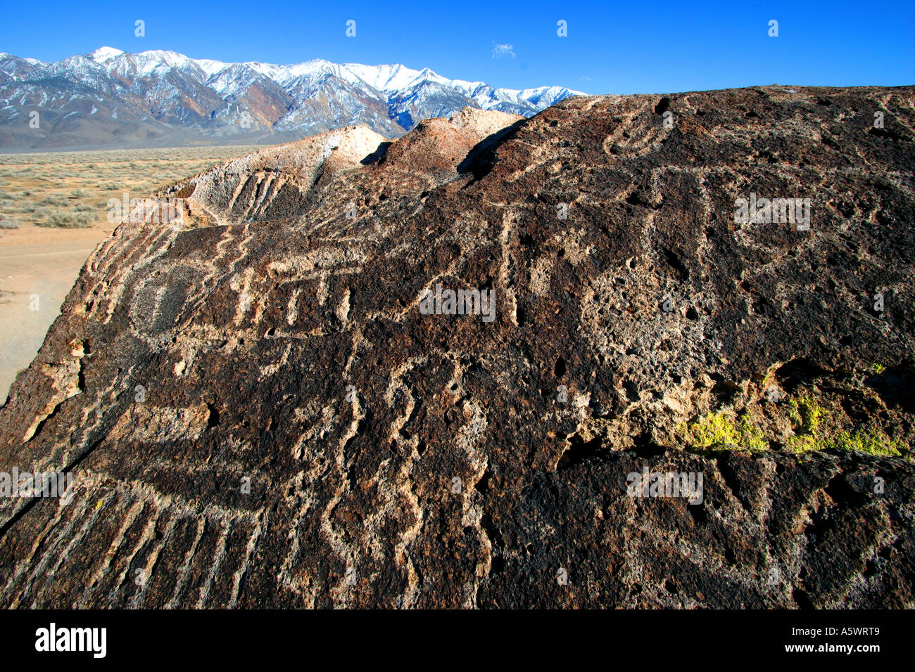 Il vescovo petroglifi Owens Valley, California Foto Stock