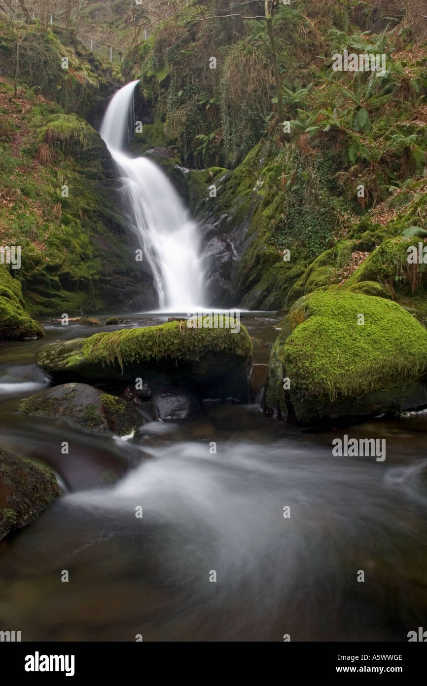 Cascate Dolgoch,Galles Foto Stock