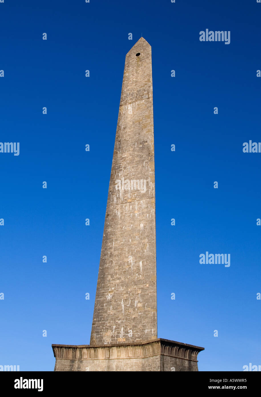 Monumento a Wellington,Somerset Foto Stock