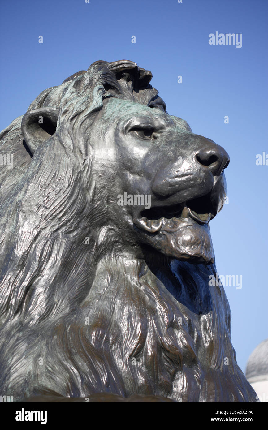 Lion in Trafalgar Square Londra Inghilterra REGNO UNITO Foto Stock