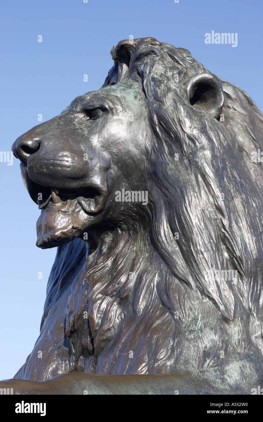 Lion in Trafalgar Square Londra Inghilterra REGNO UNITO Foto Stock