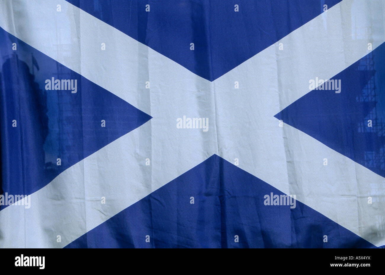 Bandiera scozzese nella vetrina di un negozio, il Royal Mile di Edimburgo, Scozia, Regno Unito Foto Stock