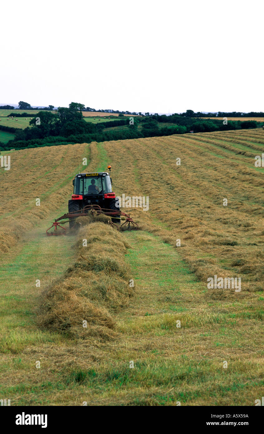 Fienagione su un Nord Farm Dorset England Regno Unito Foto Stock