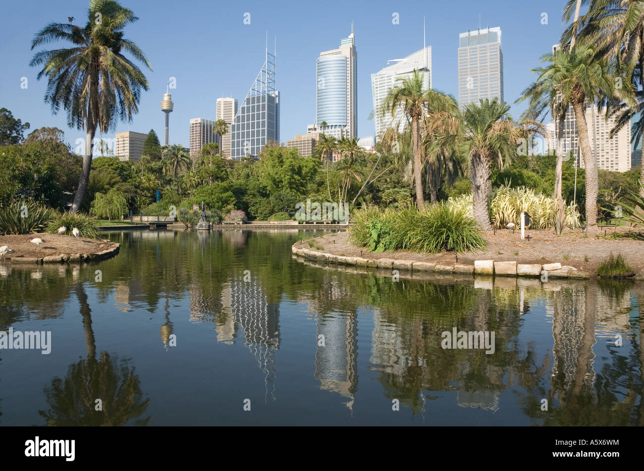 Royal Botanic Gardens - Sydney, Nuovo Galles del Sud Australia Foto Stock