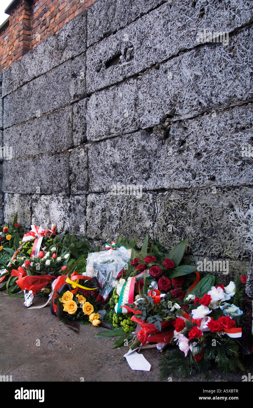 La famigerata parete di morte dove i prigionieri furono fucilati nel campo di concentramento nazista di Auschwitz 1 vicino a Cracovia in Polonia Foto Stock