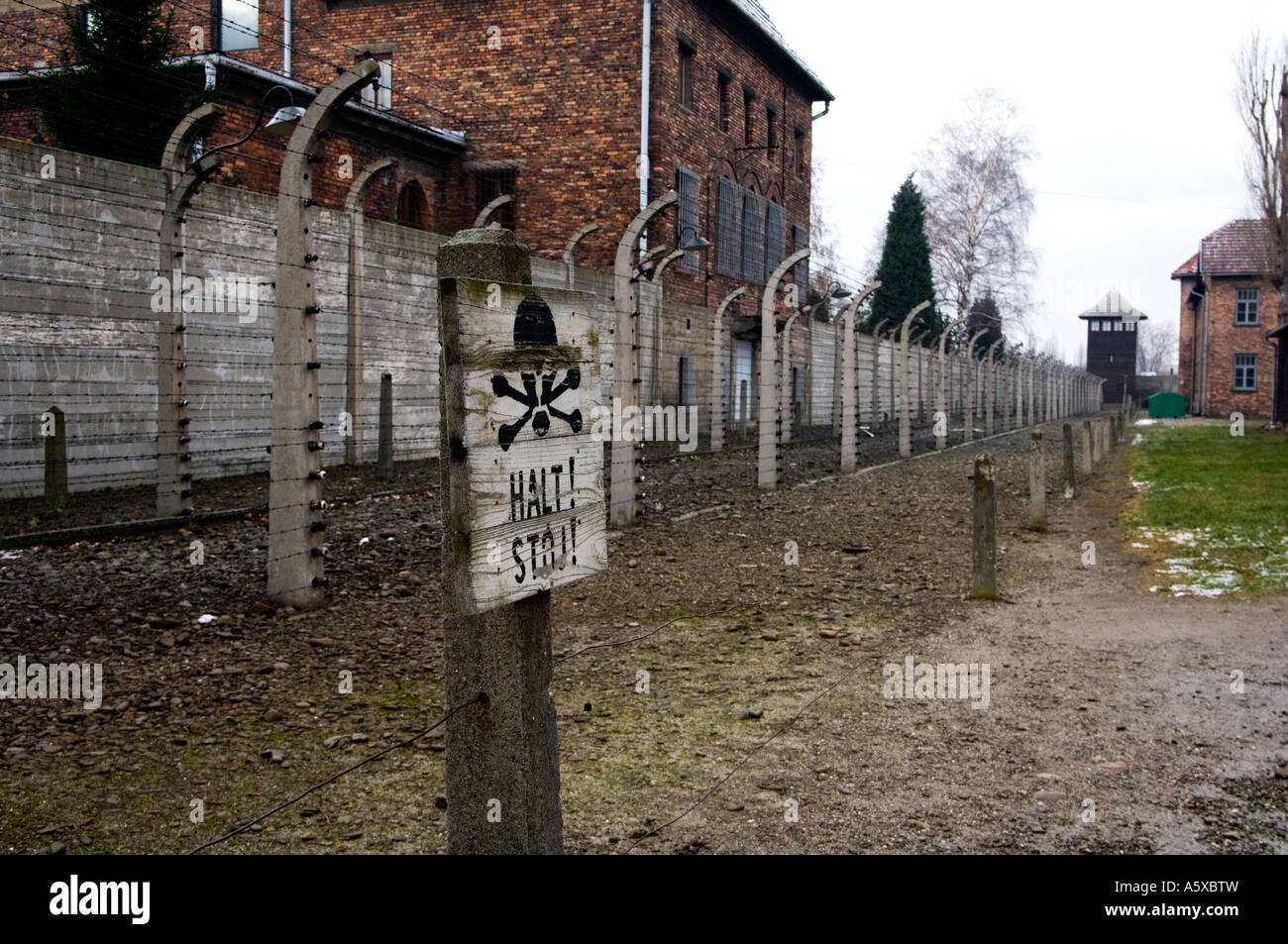Filo spinato al campo di concentramento nazista di Auschwitz 1 vicino a Cracovia in Polonia Foto Stock