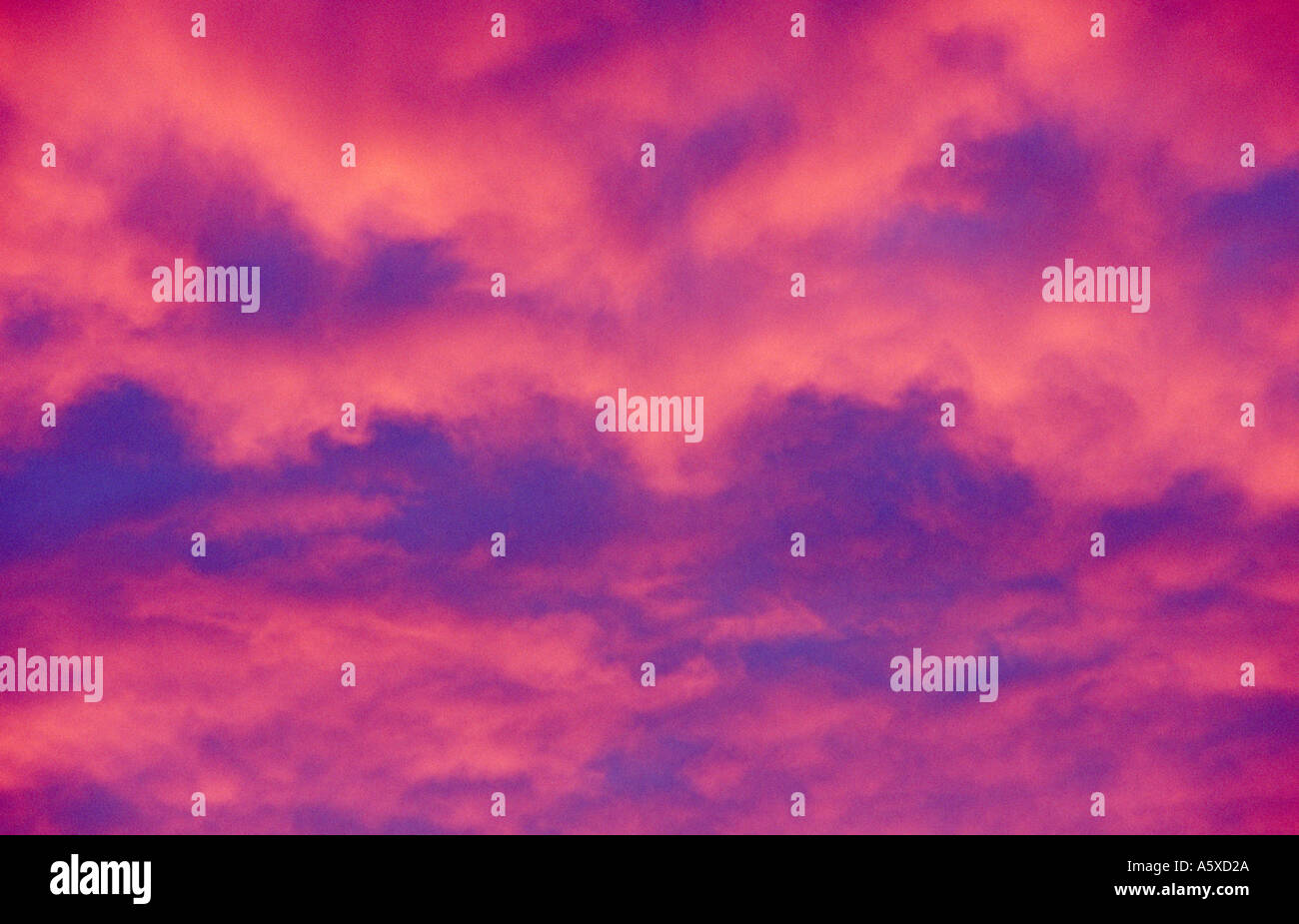 Le nuvole riflettono vividi colori del tramonto Foto Stock