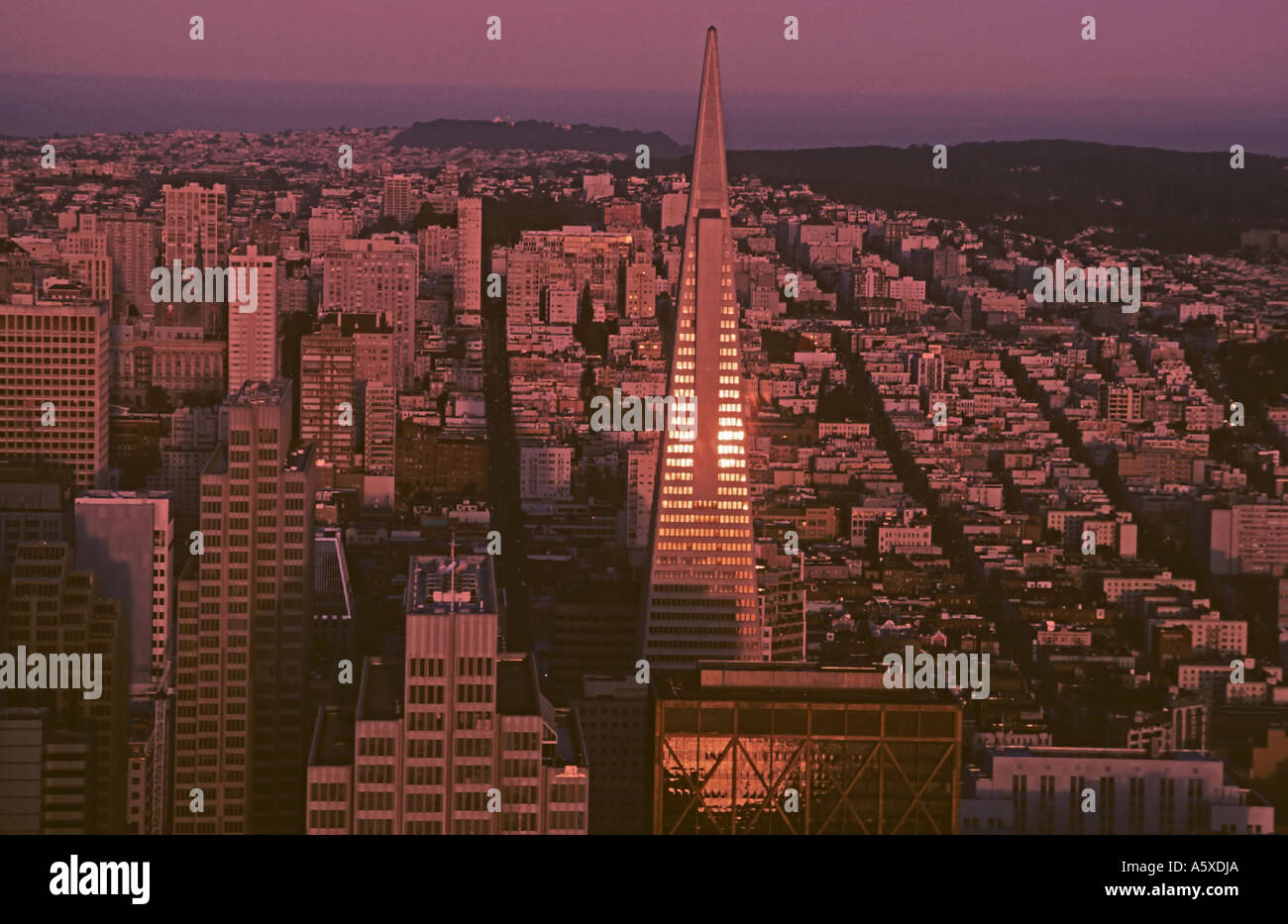 California skyline di San Francisco edificio Transamerica pyramid Foto Stock