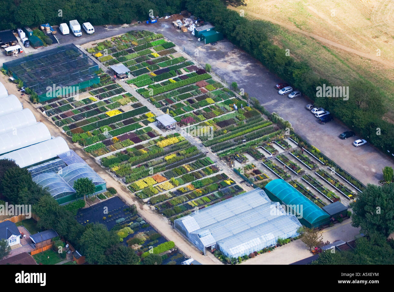 Vista aerea. Outdoor vivaio. Stewarts Giardino terre. Christchurch. Il Dorset. Regno Unito. Foto Stock