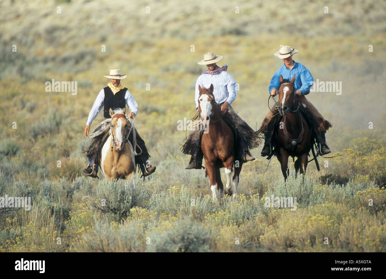 Tre cowboy a cavallo Oregon USA Foto Stock