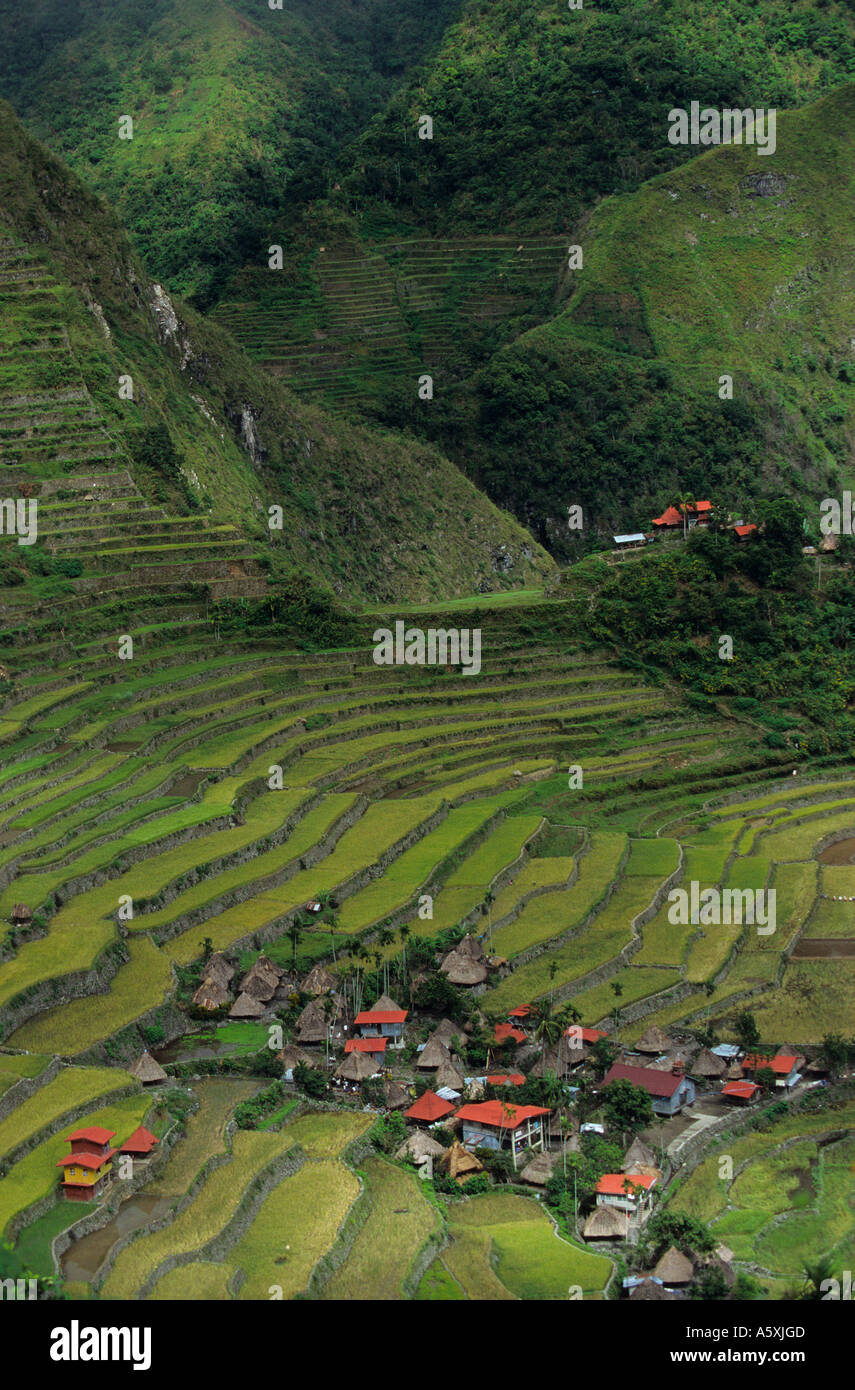 Risaie terrazzate-campi a Batad (Provincia di montagna, Filippine). Rizières en terrasses à Batad (Provincia di montagna, Filippine) Foto Stock
