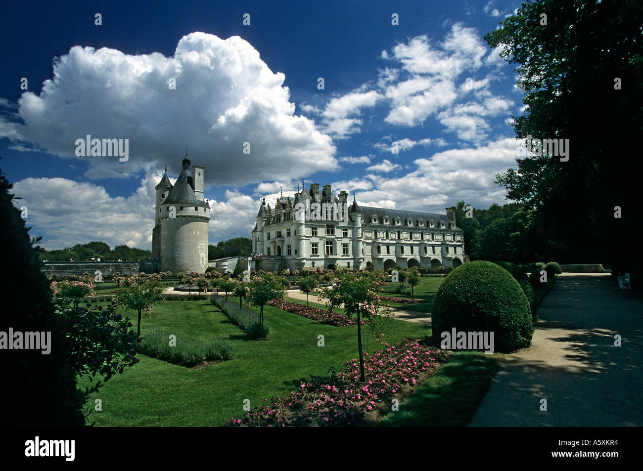 Castello di Chenonceaux (Francia). Château de Chenonceaux (Chenonceaux - Francia). Foto Stock