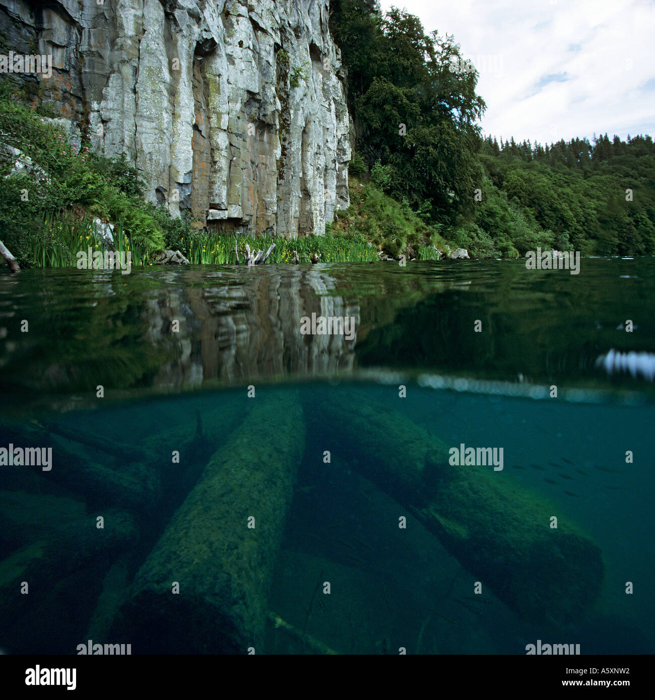 Fotografia del lago Pavin grazie ad un semi-immerso fotocamera (Francia). Vue mi-aria mi-eau Du Lac Pavin (Francia). Foto Stock