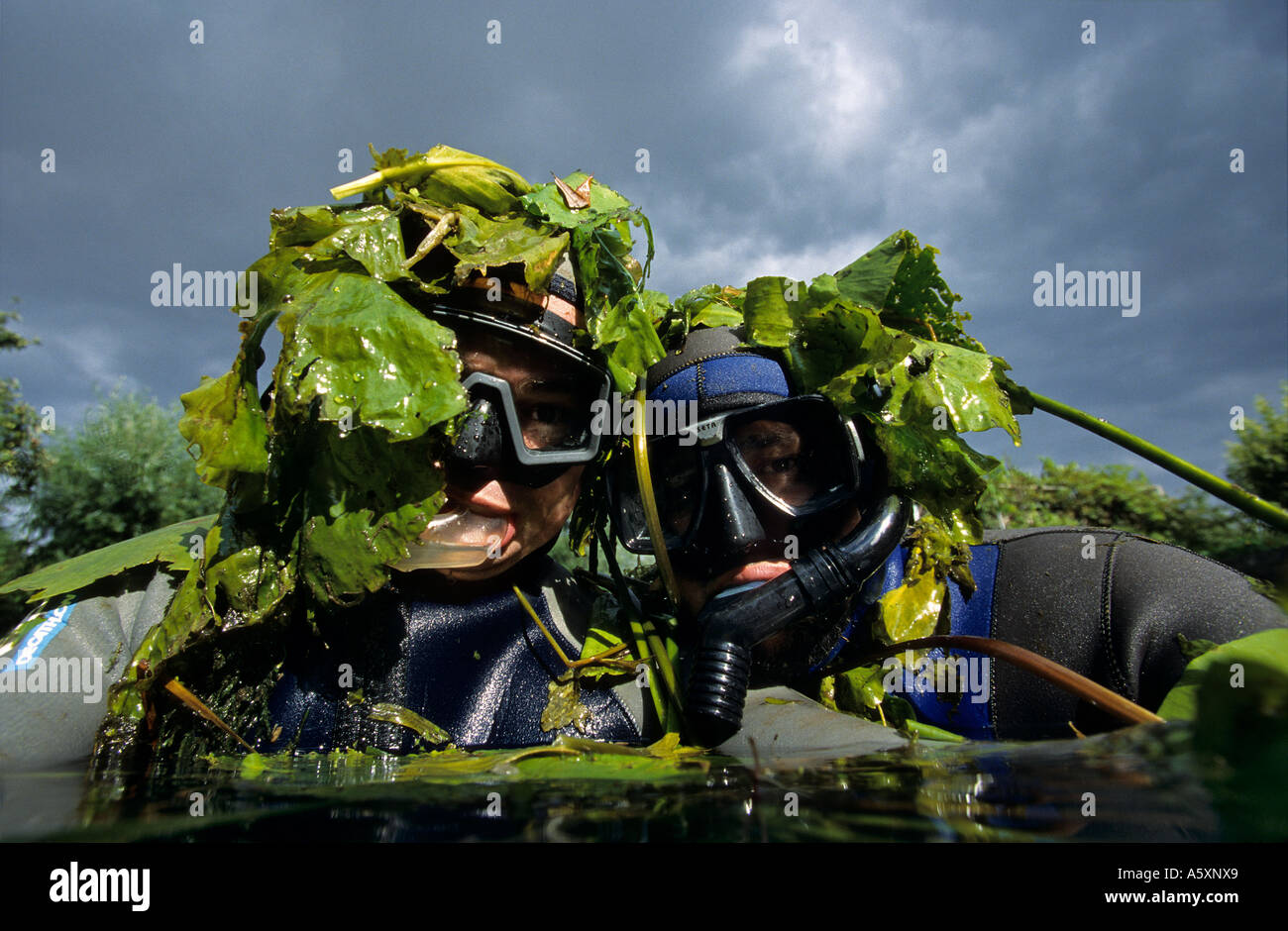 Uscita discreta da due subacquei tra ninfee. Deux plongeurs Sous-marin dans les nénuphars. Foto Stock