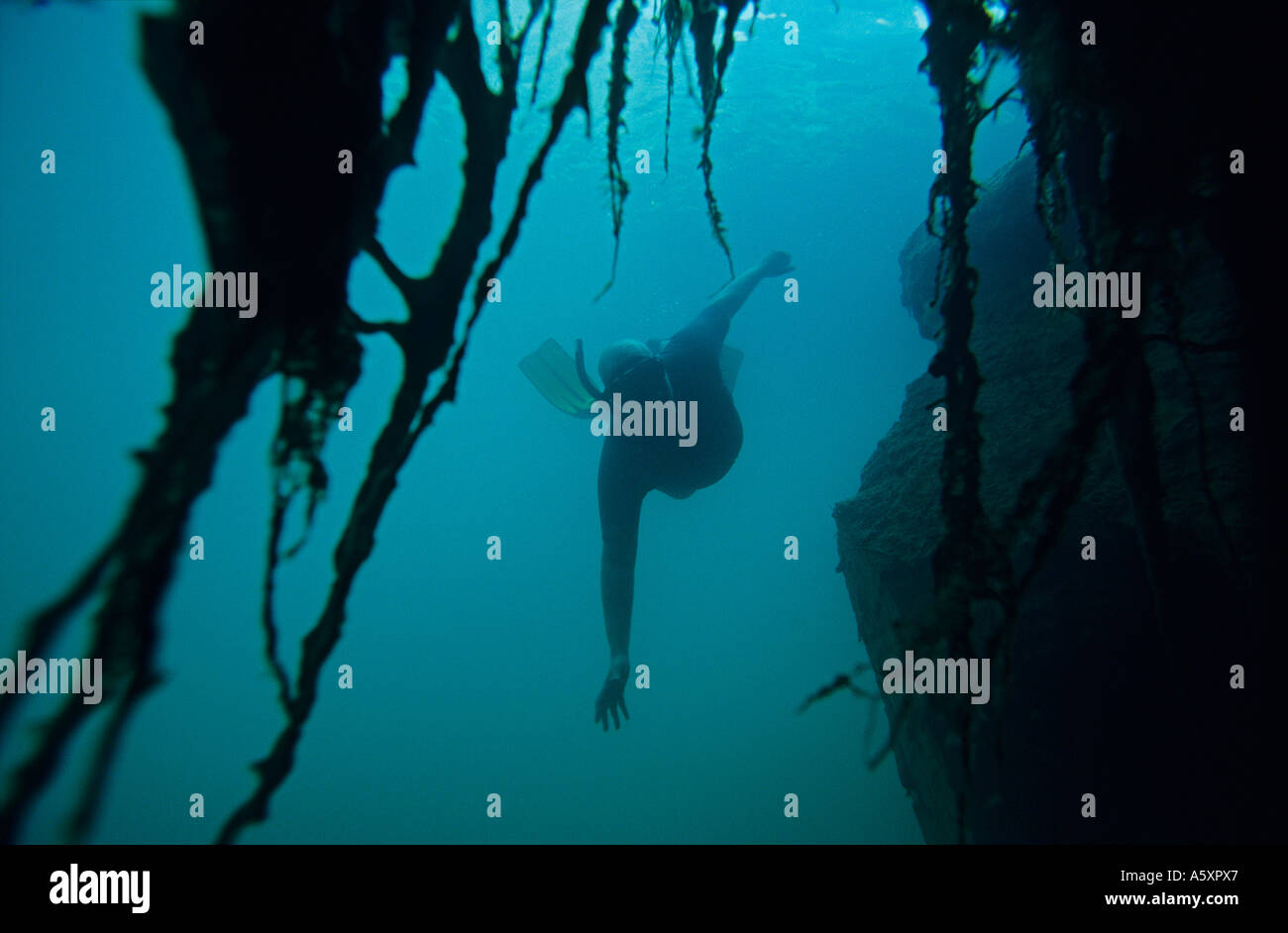 Immersioni in acqua dolce. Plongée sous-marine en Eau Douce. Foto Stock