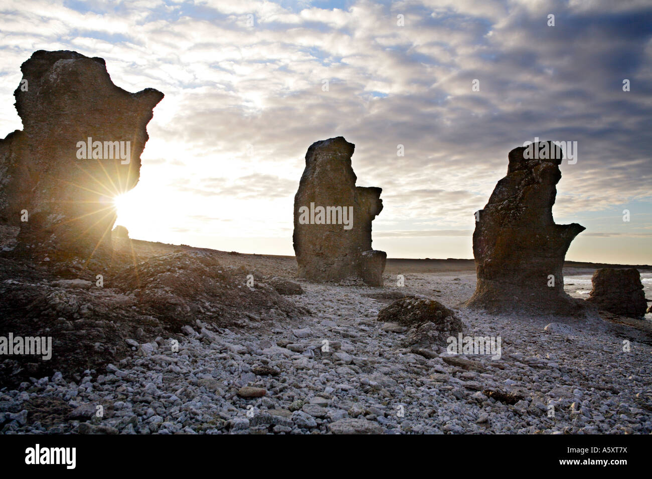 Sun retroilluminato forme di calcare ( Rauk pietre) un fenomeno geologico in Langhammars Riserva naturale sulla costa stark di Gotland Foto Stock