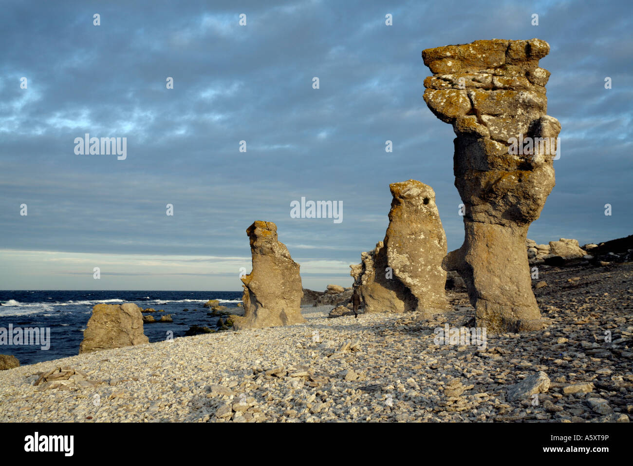 Raukar. Un fenomeno geologico - formazioni di calcare (Rauk pietre) terreno dal mare e dai venti sulla costa di Stark di Gotland. Foto Stock