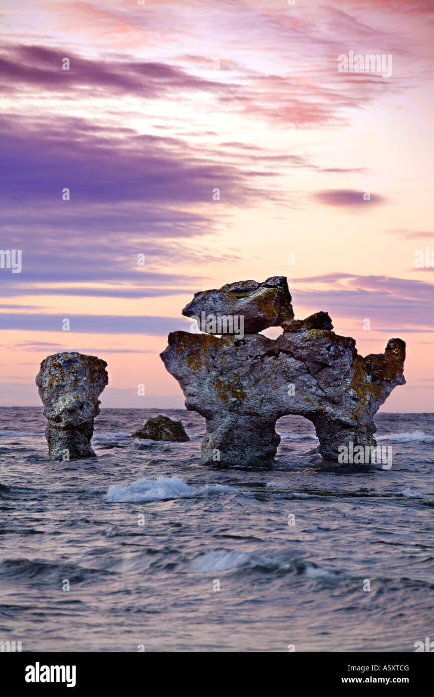 Raukar (Rauk-Stone) un fenomeno geologico. La massa di calcare dal mare e vento sulla costa di Stark di Fårö, Gotland Foto Stock