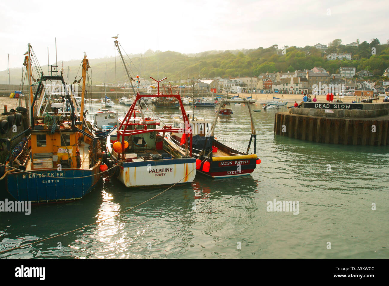Lyme Regis porto barche nel sole primaverile Dorset England Regno Unito GB Isole britanniche Foto Stock
