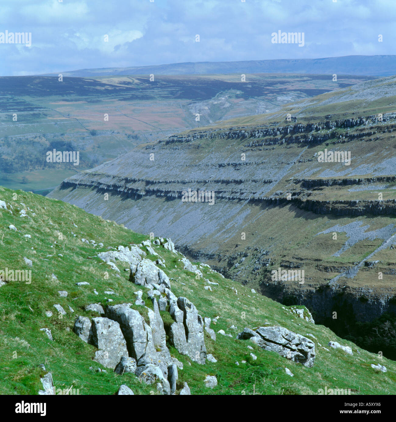 Alta scenario di calcare; Yew Cogar cicatrice sopra Arncliffe, Littondale, Yorkshire Dales National Park, North Yorkshire, Inghilterra, Regno Unito. Foto Stock