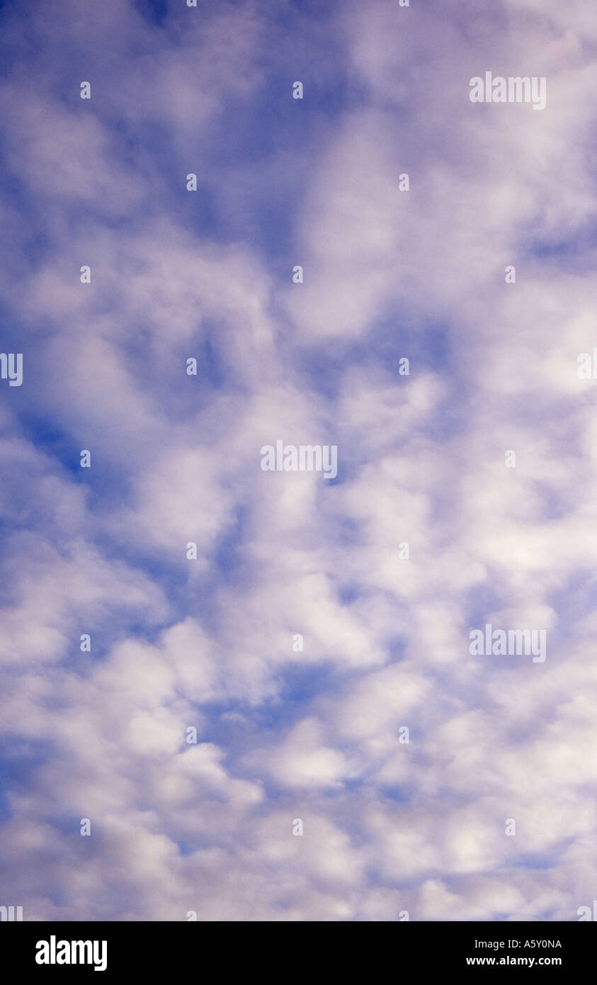 Bianco dolce stratocumulus nuvole al di sotto di una metà del cielo blu Foto Stock