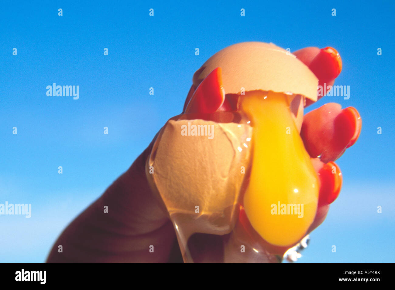 Donna con conseguente rottura di un uovo modello rilasciato Foto Stock