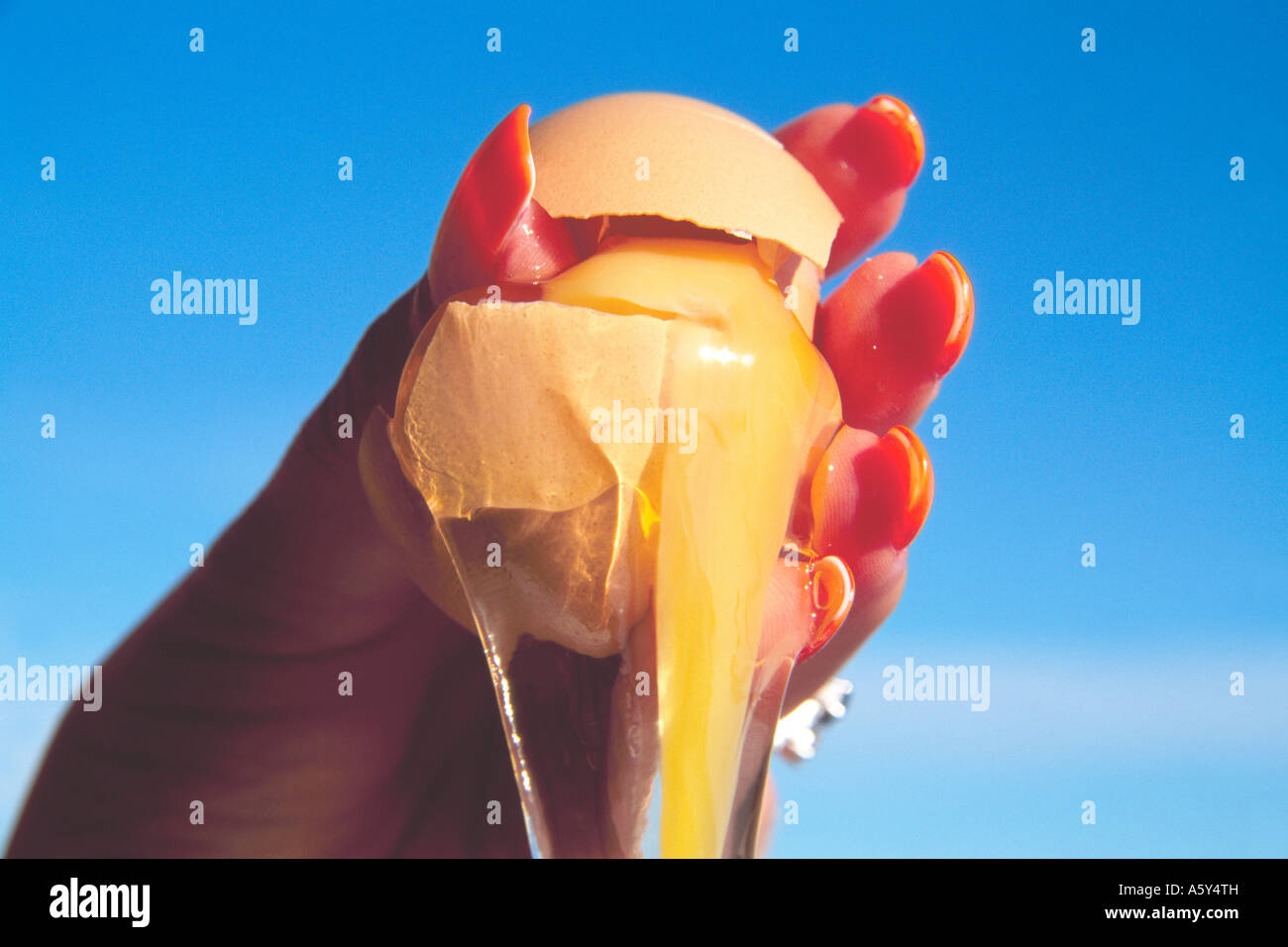 Donna con conseguente rottura di un uovo modello rilasciato Foto Stock