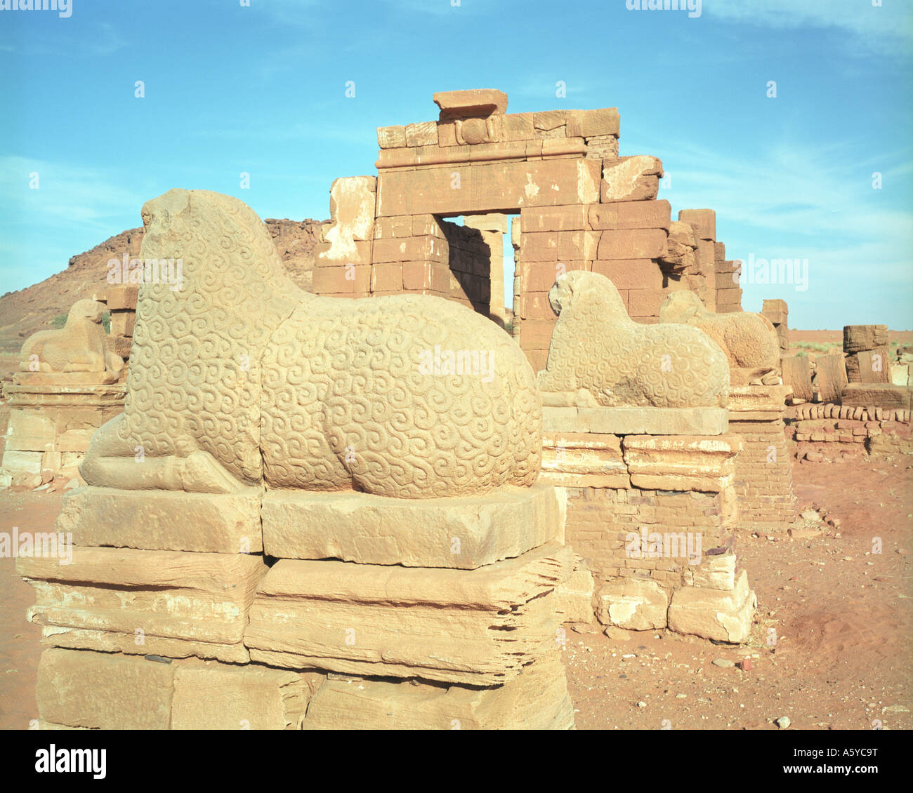 Il leone sculture nel grande contenitore al Lion tempio di Naga, Sudan Foto Stock