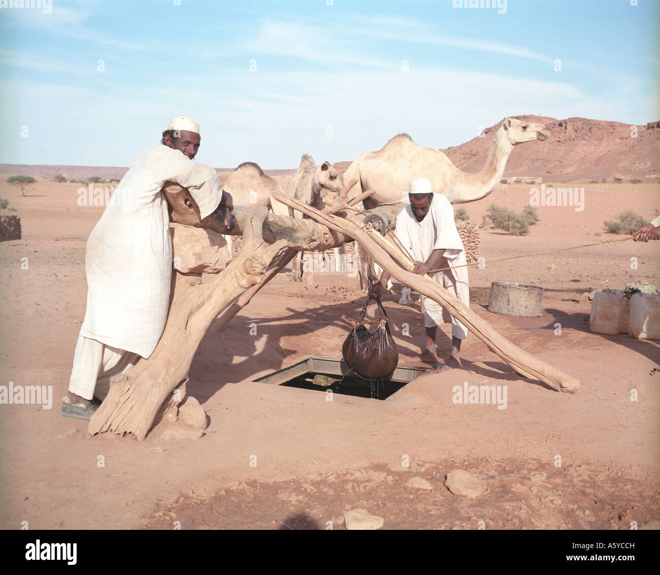 Uomini nomadi in prossimità di un lavello di acqua nel deserto, Sudan Foto Stock