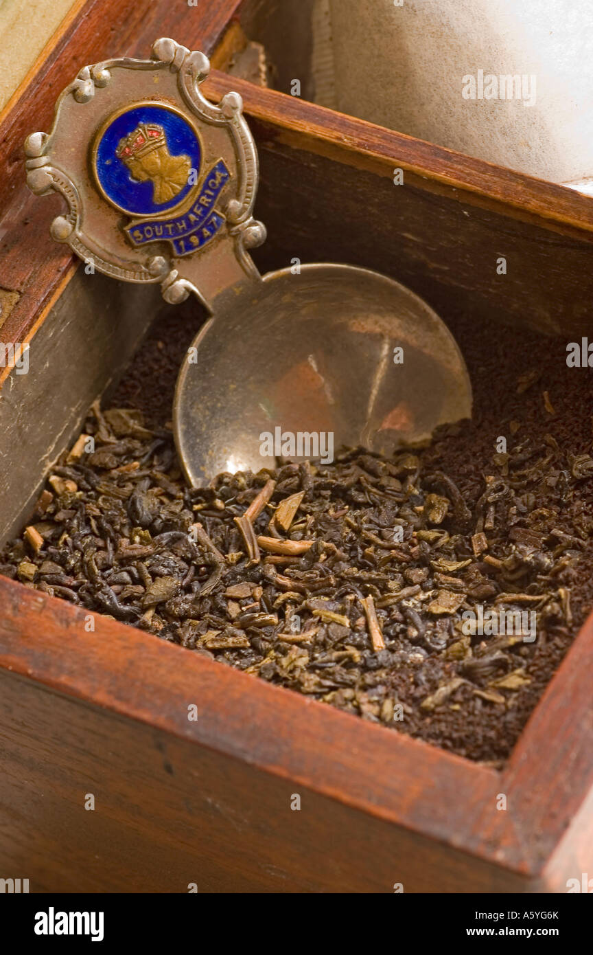 Scatola di legno riempita con tè con il vecchio e il cucchiaio Foto Stock