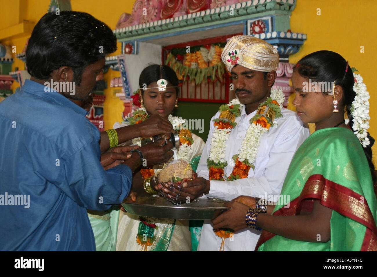 Valutazione versare il latte di cocco sopra durante un matrimonio indù , India Foto Stock