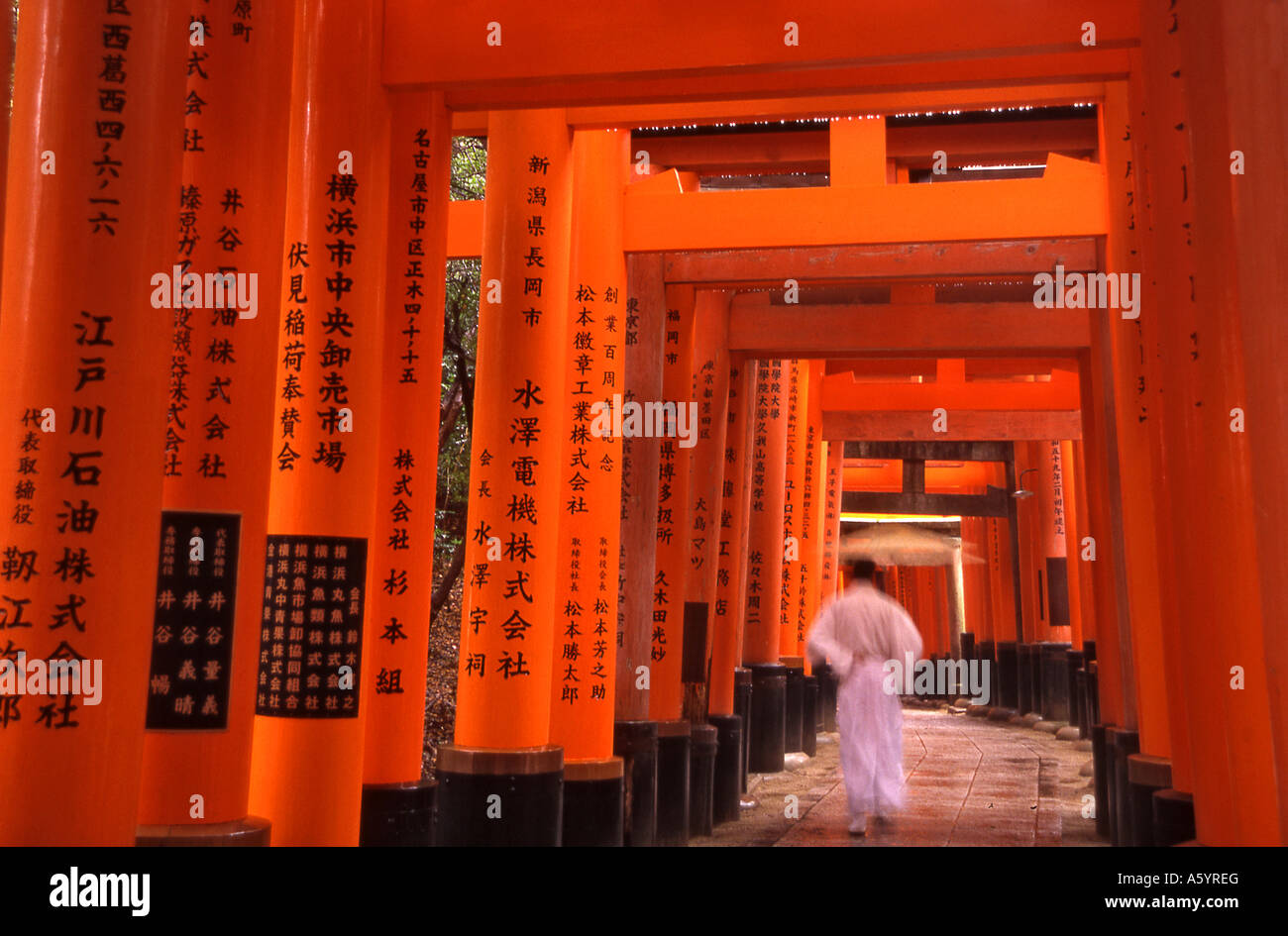 Imari Japan Immagini E Fotografie Stock Ad Alta Risoluzione Alamy