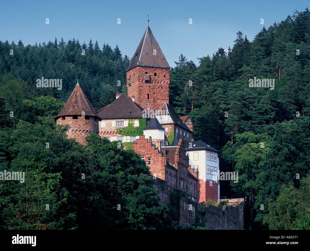 Castello di Zwingenberg nella Germania meridionale Valle del Neckar Germania Foto Stock