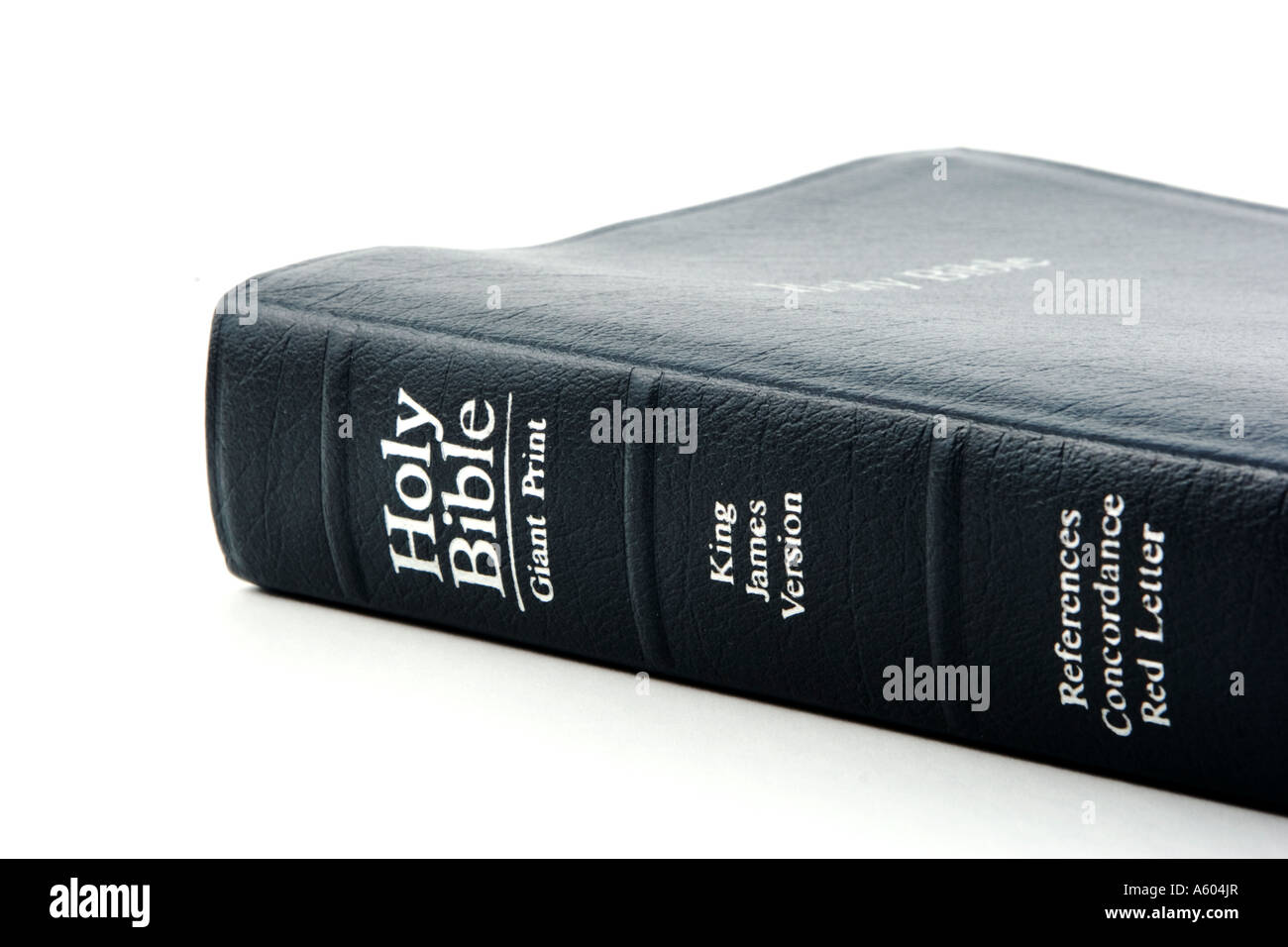 La Santa Bibbia mostra libro della colonna vertebrale con il titolo e le informazioni sulla versione in bianco ad alta sfondo chiave Foto Stock