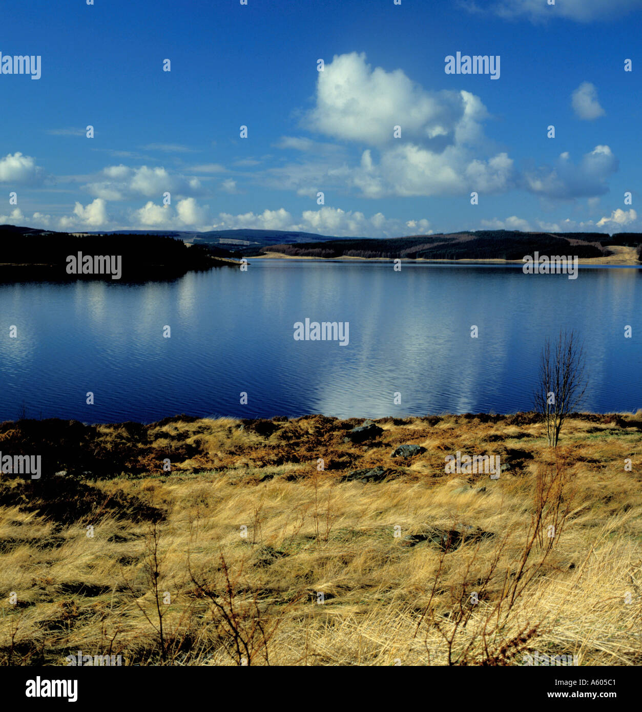 Kielder acqua su una bella giornata di primavera, Northumberland, Inghilterra, Regno Unito. Foto Stock