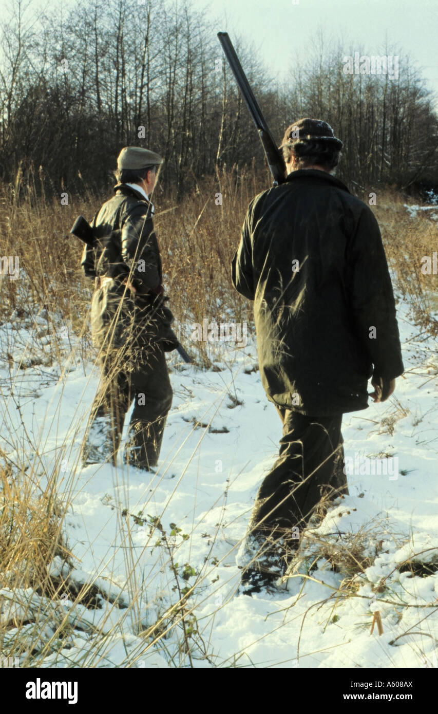 Pheasant e anatra tiro, campagna inverno scena, Norfolk, Inghilterra, Regno Unito Foto Stock