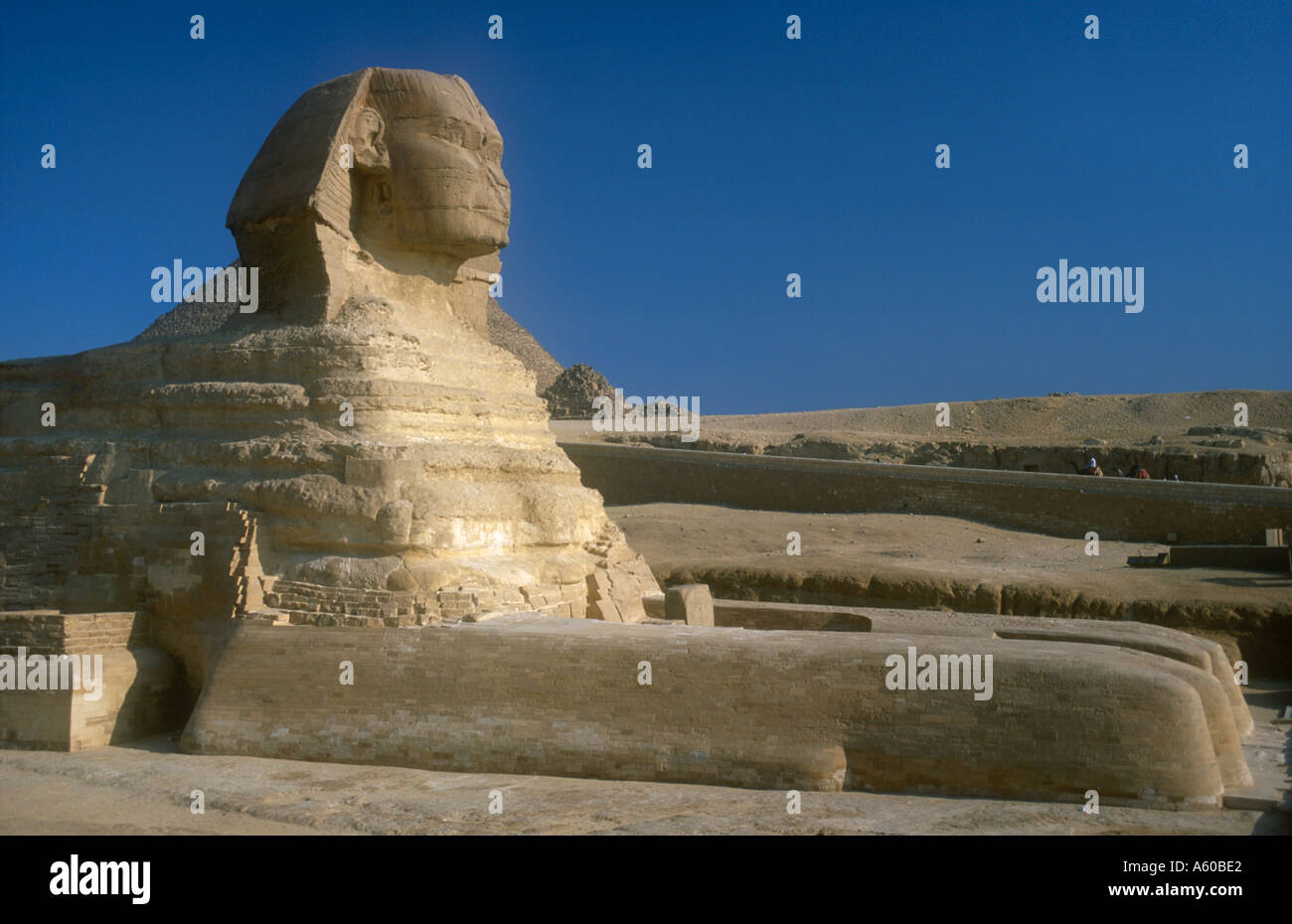 Egitto Area del Cairo Giza Sfinge restaurata con piramidi e i turisti sui cammelli in background Foto Stock