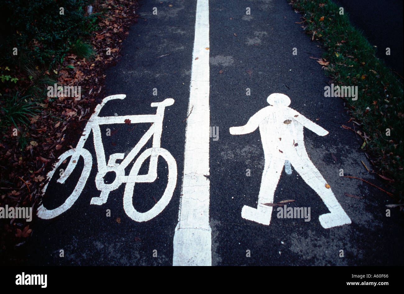 Ciclo e uomo di simboli su un percorso condiviso di vandali hanno dipinto un pene sull'uomo Foto Stock