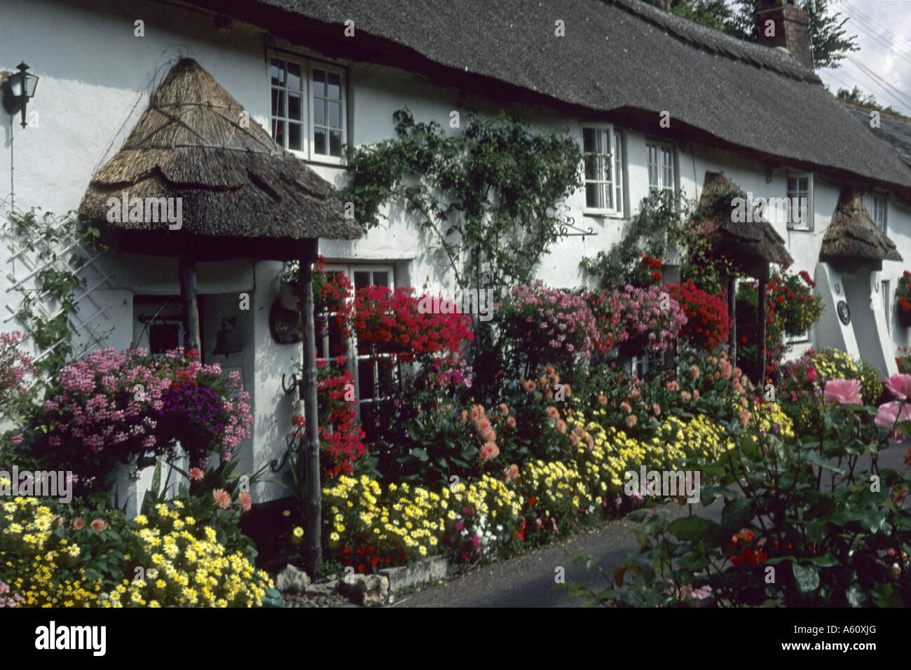 Casa con decorazioni floreali, Regno Unito, Inghilterra, Cornwall, Branscombe Foto Stock