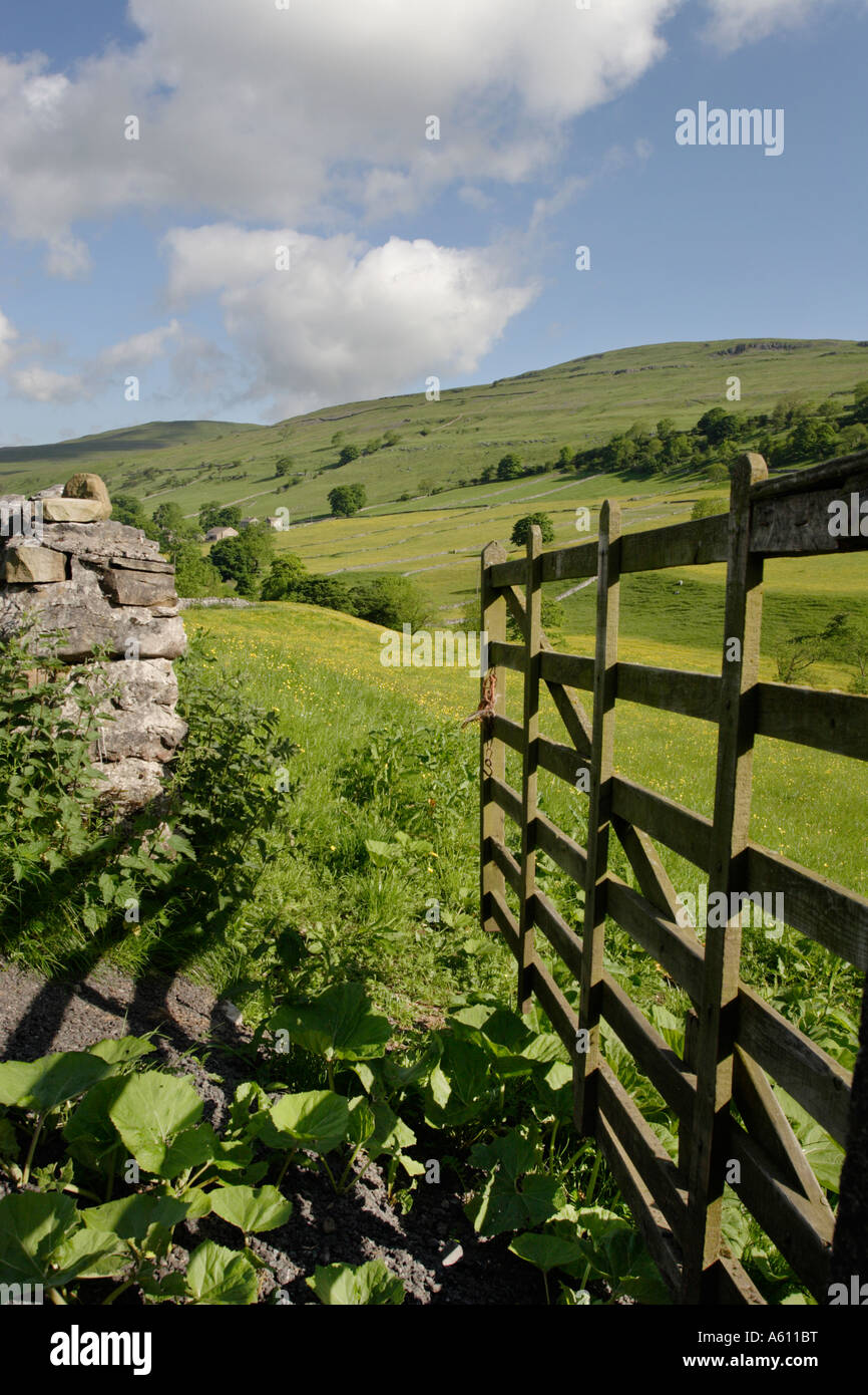 Estate, prati in Wharfedale, Yorkshire Dales National Park Foto Stock