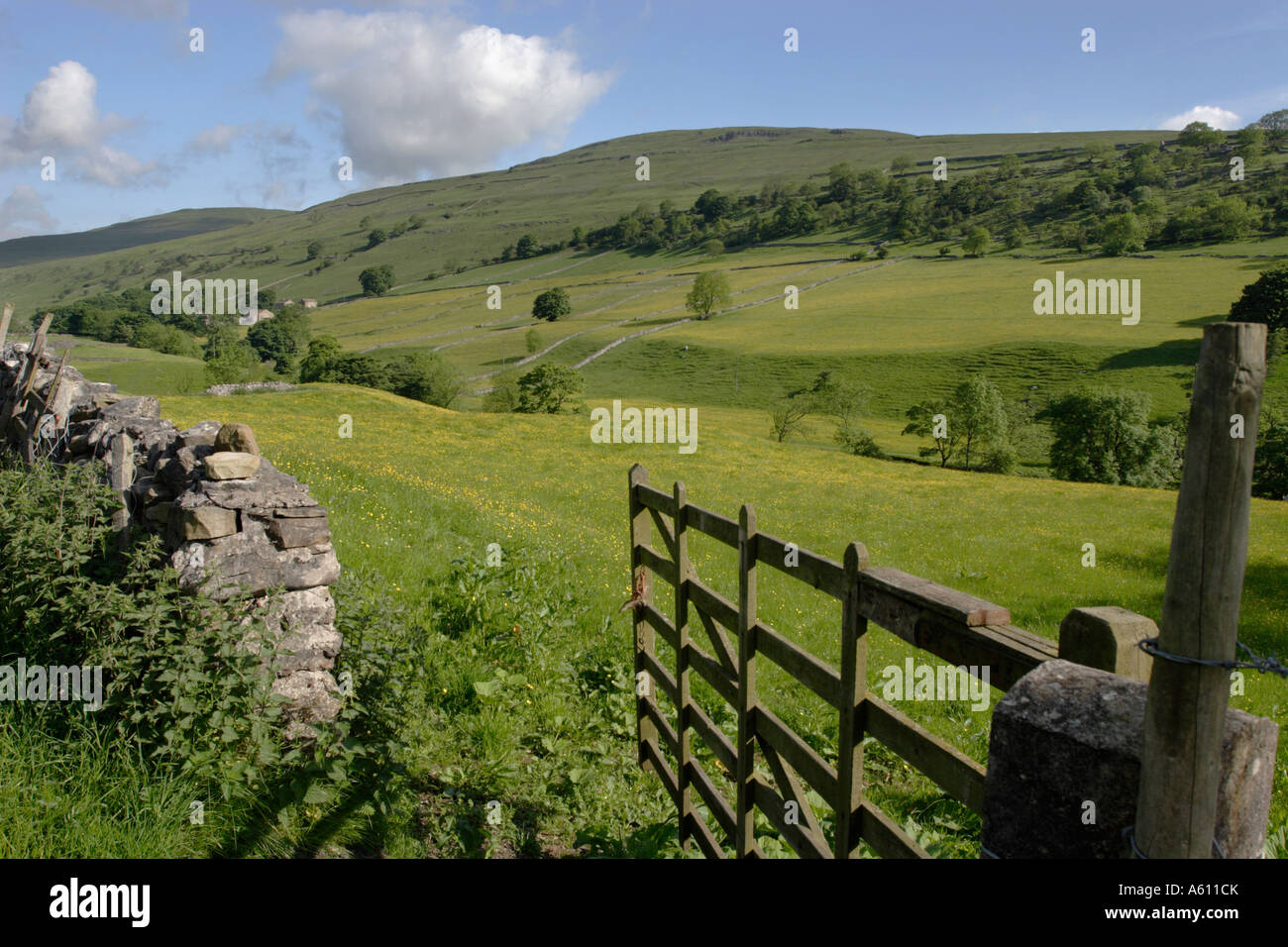 Estate, prati in Wharfedale, Yorkshire Dales National Park Foto Stock