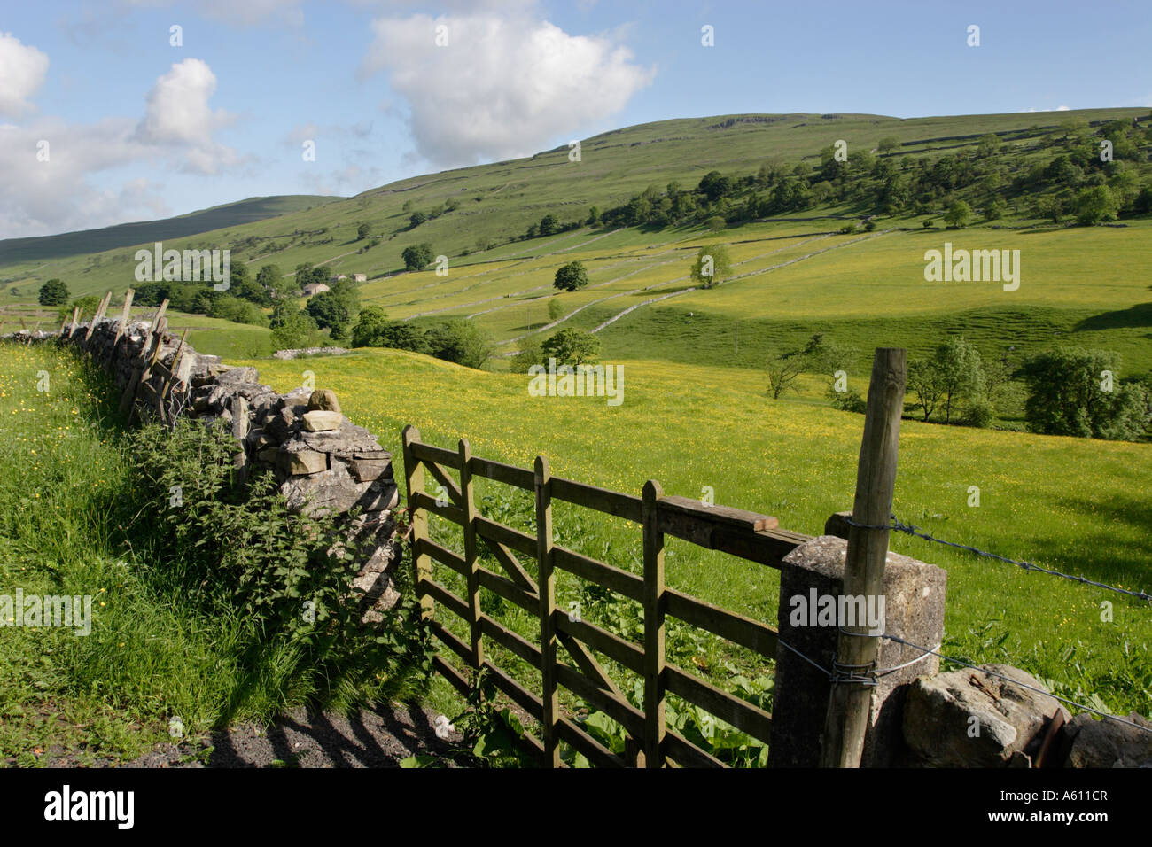 Estate, prati in Wharfedale, Yorkshire Dales National Park Foto Stock