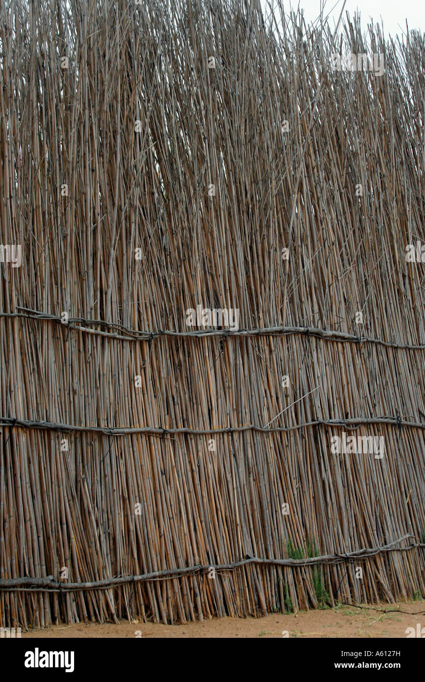 Painet JJ1795 namibia dettaglio scherma nyangana piccolo villaggio stazione missionaria a nord del paese di confine angolano 2 africa subsahara Foto Stock