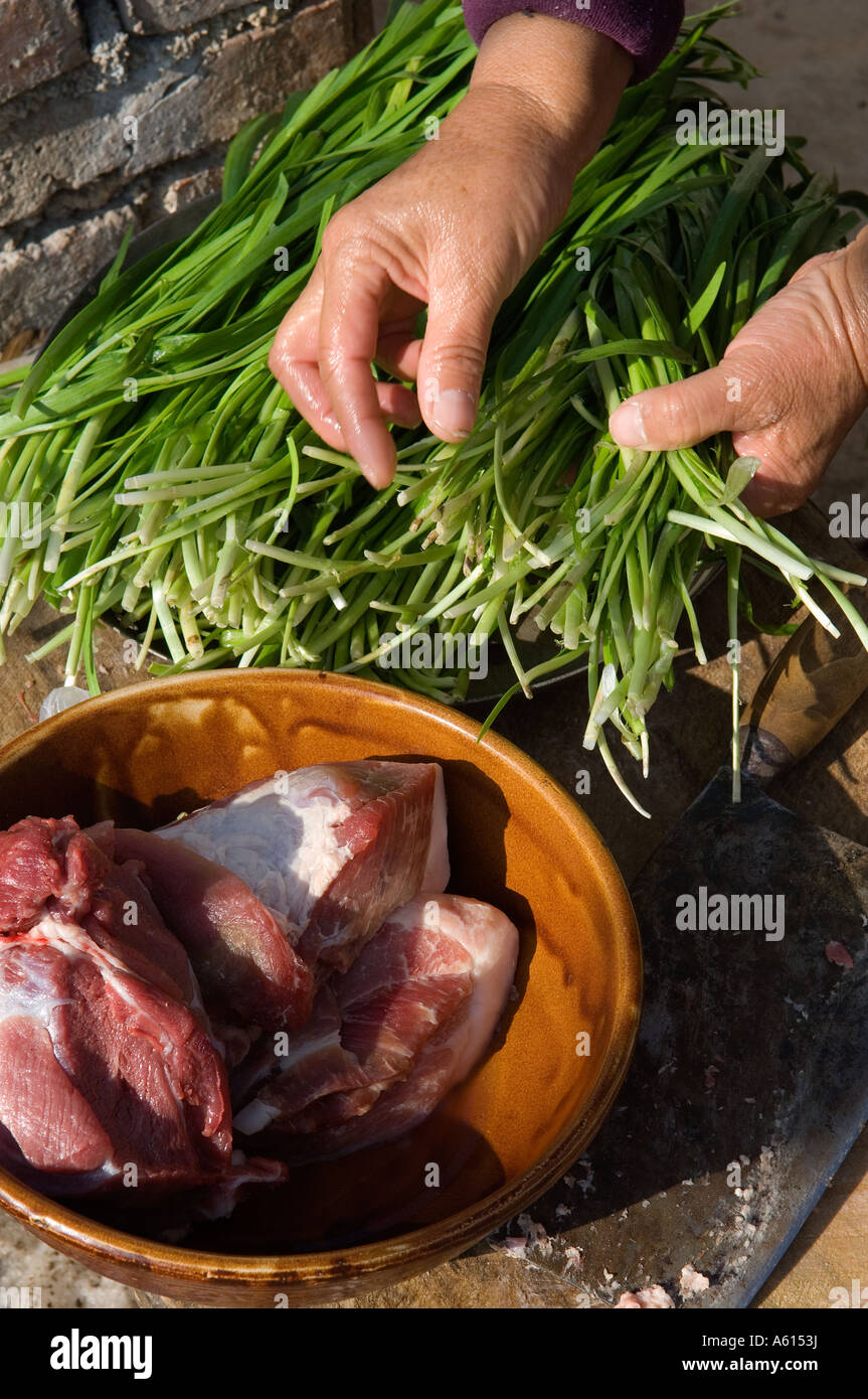 Rendendo tradizionale dim sum gnocchi Cinesi. La preparazione di carne e cipolline al di fuori della cucina agriturismo provincia di Shandong Cina Foto Stock