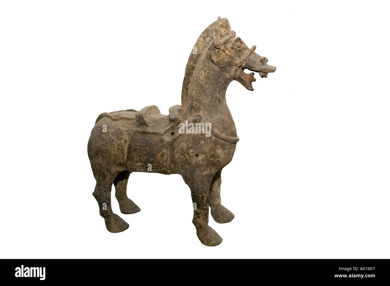 Zibo Museo della Ceramica, Provincia di Shandong, Cina. Ceramica Cavallo dal periodo di Stati belligeranti, Zhoucun Foto Stock