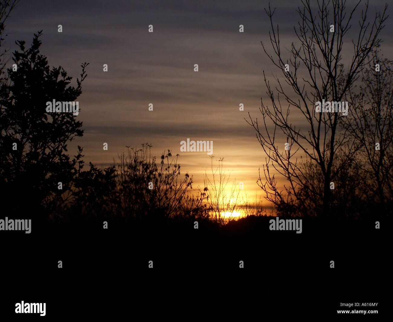 Sunset over Shipley Park, Heanor Foto Stock