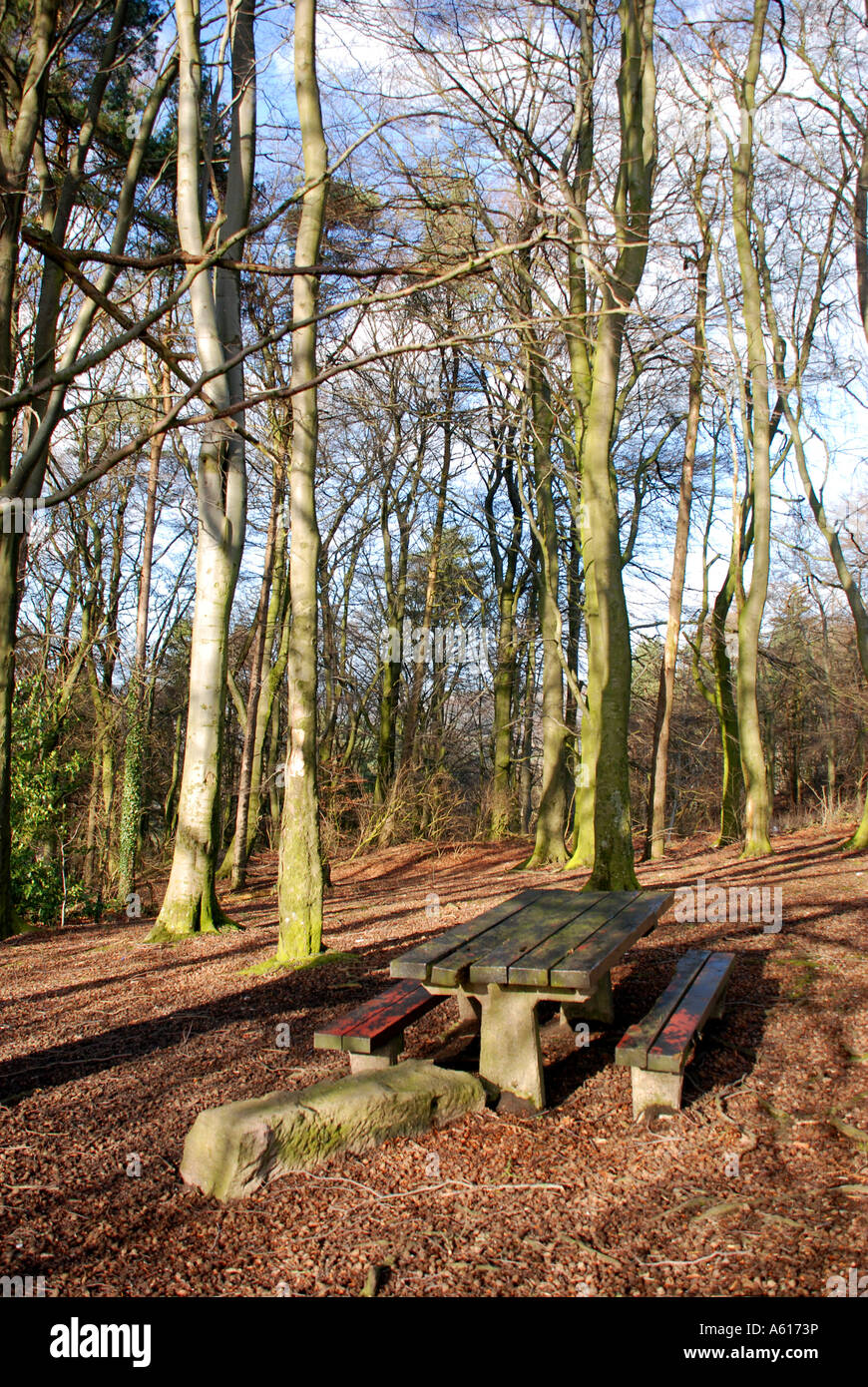 Area Picnic a rocce nere, Cromford Foto Stock