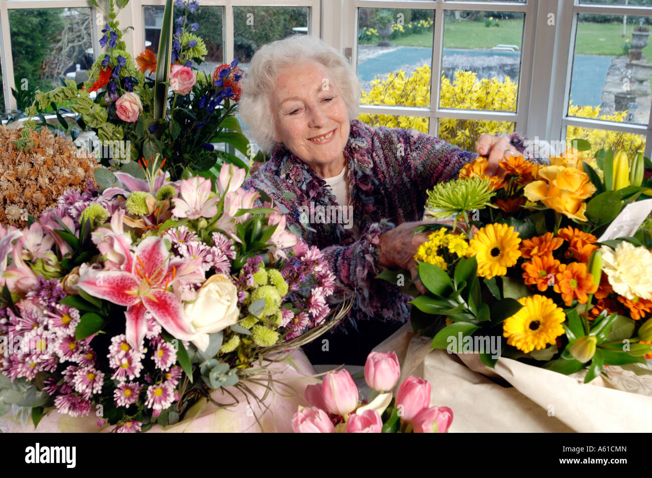 Il cantante Dame Vera Lynn a casa in Ditchling East Sussex sul suo novantesimo compleanno Foto Stock